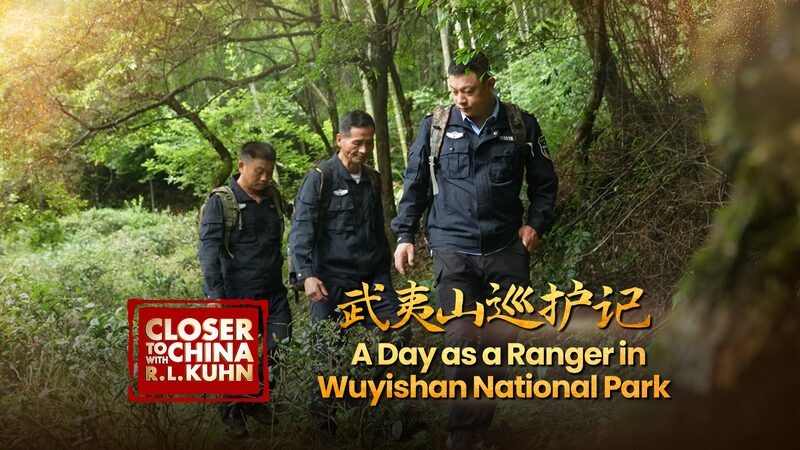 A day as a ranger in Wuyishan National Park video poster