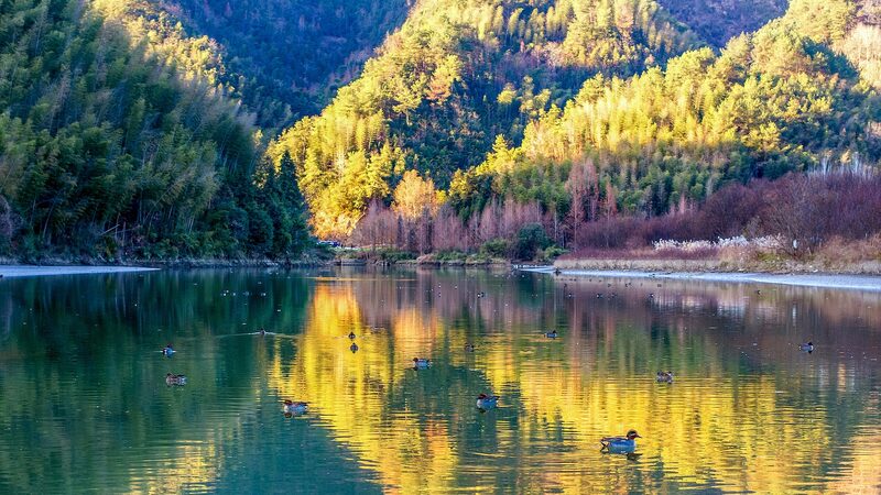 Wild Ducks and Misty Mornings: Winter Magic in East China’s Liren Village 🦆❄️ A vibrant winter morning in an East China village video poster