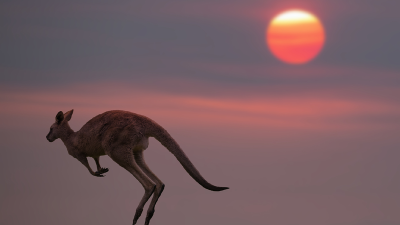 Australia’s Hottest Spring Ever Recorded! π‘οΈπ₯ Australia sees hottest spring on record