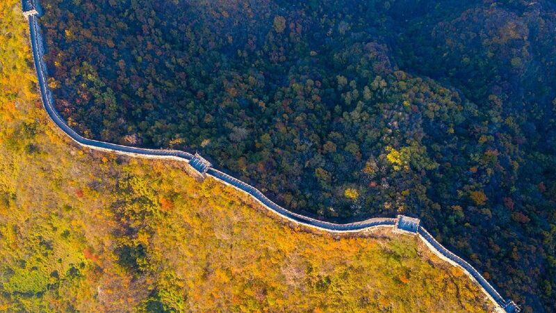 Beijing's forest coverage rate to reach 45 percent in 2025
