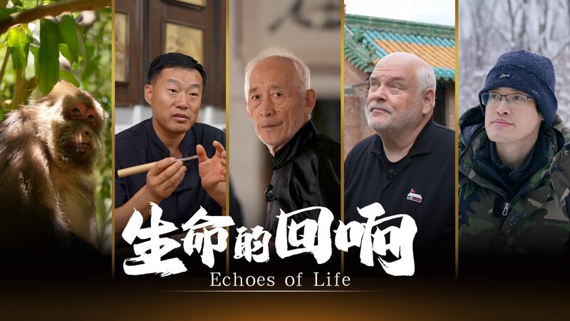 CGTN_Documentary_Echoes_of_Life_poster - My Global News: Young Voices CGTN Documentary: Echoes of Life video poster