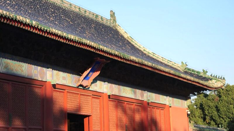 CGTN The Vibe 20241213