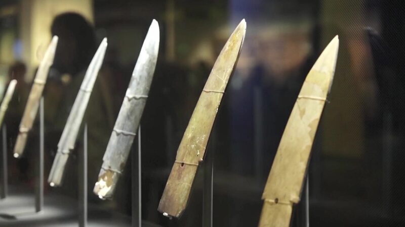 CGTN The Vibe 20241227