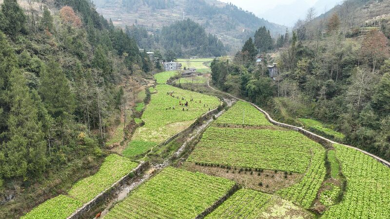 China’s Countryside Transformation: A Journey of Growth πΎ CMG reveals top 10 news for China's rural revitalization in 2024