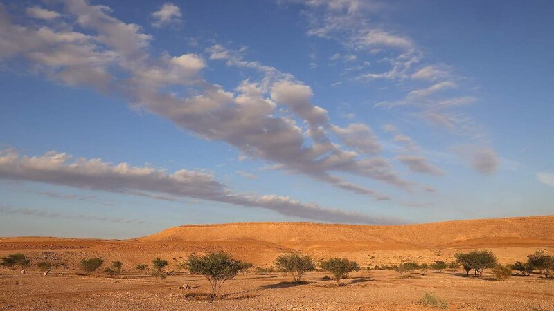 World Leaders Gather in Saudi Arabia to Combat Desertification ππΏ COP16 to combat desertification opens in Saudi Arabia