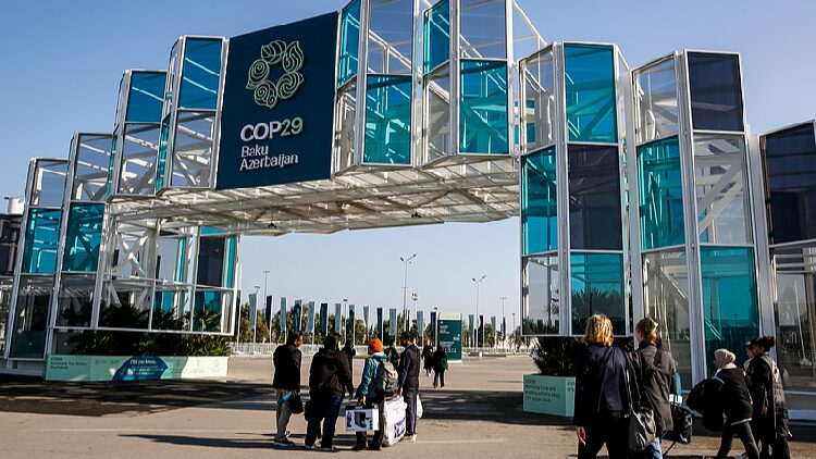 Why Money Isn’t Enough to Save Our Planet ๐: Lessons from COP29 COP29's sobering reminder: Money alone can't address climate crises
