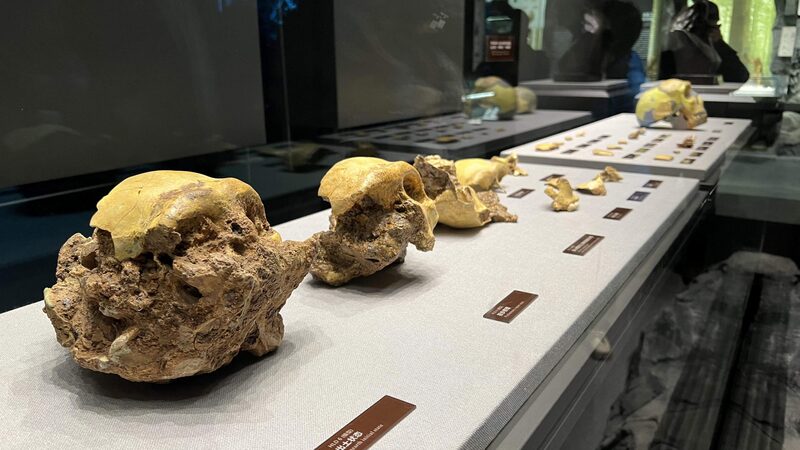 China discovers landmark human evolution fossils