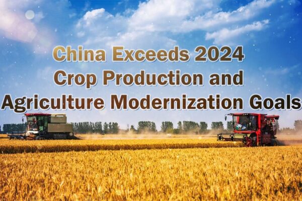 China Makes Big Strides in Modernizing Agriculture! 🌾 China exceeds 2024 crop production and agriculture modernization goals video poster