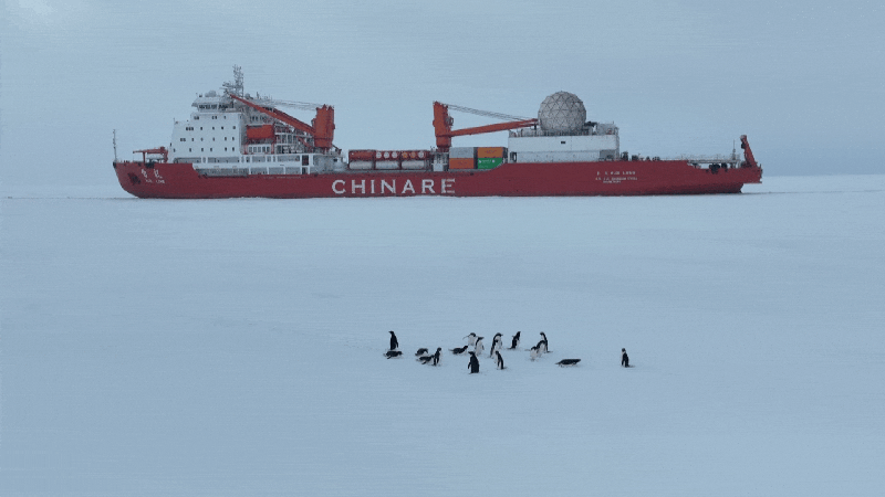 China’s ‘Snow Dragon’ Ships Sail to Build New Antarctic Station! ๐โ๏ธ China's 41st Antarctic expedition ships set to sail to Qinling Station