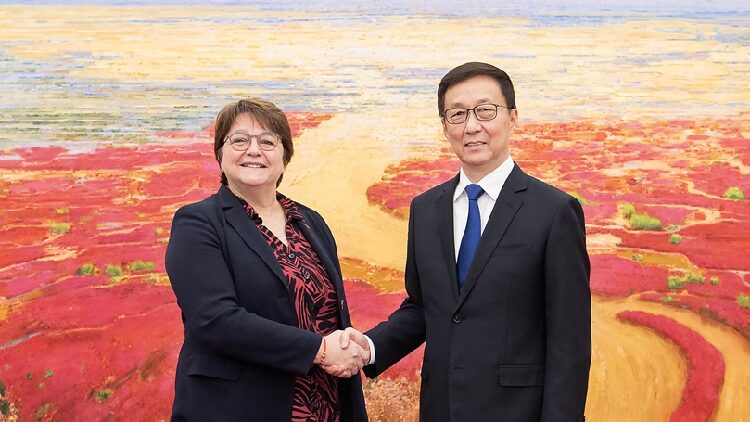 Chinese VP meets French delegation to bilateral high-level dialogue