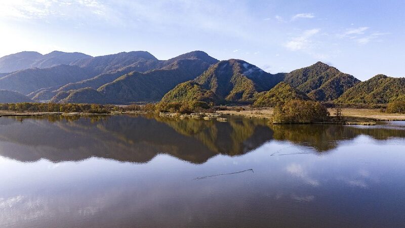 China’s Energy Companies Join Forces to Protect Nature! ๐ฟ Chinese energy firms call for more biodiversity conservation efforts