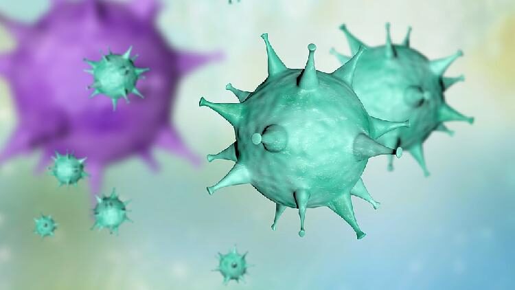 Chinese researchers discover new pattern in virus transmission