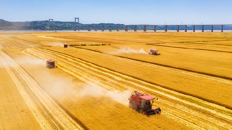 Concerns of the people are always on my mind, says Xi