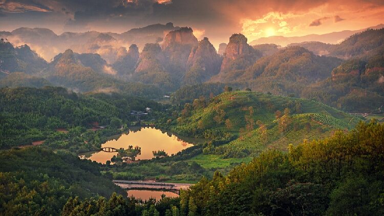 Discover the endemic wonders of Wuyi Mountain