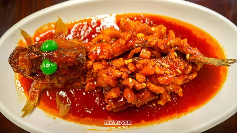 Does This Fish Look Like a Squirrel? Discover Suzhou’s Famous Squirrel Mandarin Fish! Does this fish look like a squirrel?