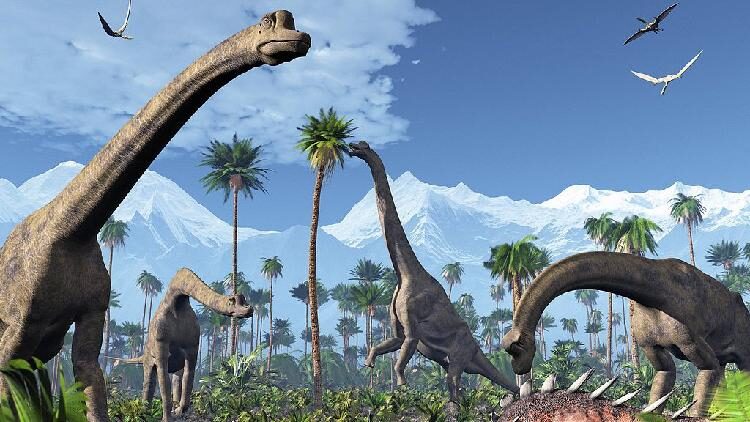 Dino Poop Reveals Secrets of How Dinosaurs Took Over ๐ Fossilized feces and vomit help scientists reconstruct dinosaurs' rise