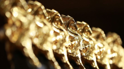 The Golden Horse Awards: Movies, Changes, and the Magic of Cinema π₯ Golden Horse Awards: From cinematic pinnacle to political pawn
