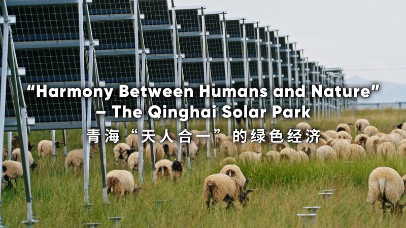 Harmony Between Humans and Nature: The Amazing Qinghai Solar Park! "Harmony Between Humans and Nature" – The Qinghai Solar Park video poster