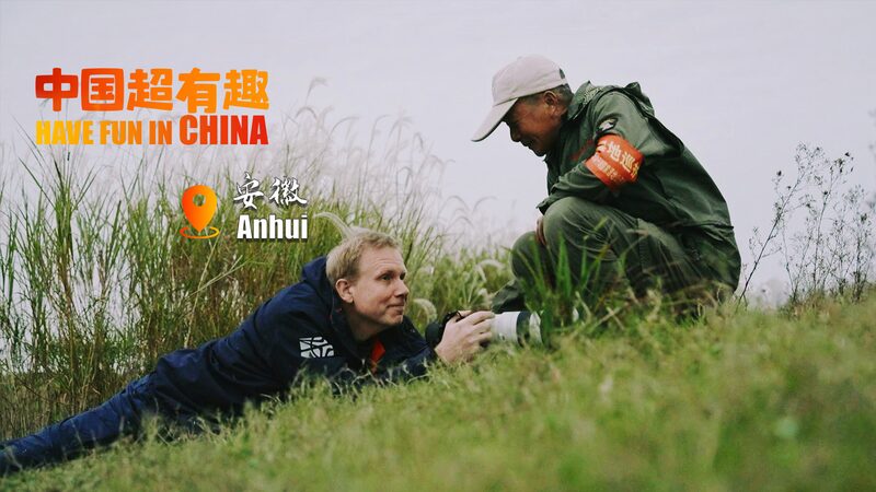 From Russia to China: Capturing the Graceful Oriental Storks at Caizi Lake Have fun in China Β· Anhui | A lensman's odyssey for oriental storks video poster