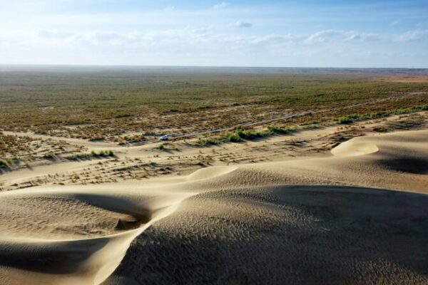 How Three Generations Built a Green Barrier to Stop the Desert Keeping deserts at bay with their own hands