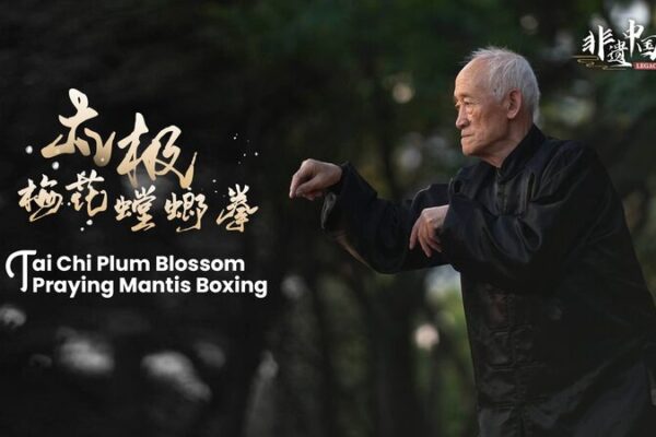 Meet the 80-Year-Old Kung Fu Master Inspiring the World Legacy Trails: Tai Chi Plum Blossom Praying Mantis Boxing video poster
