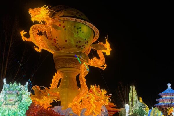 Live: Explore splendid lantern show in Beijing to embrace the New Year