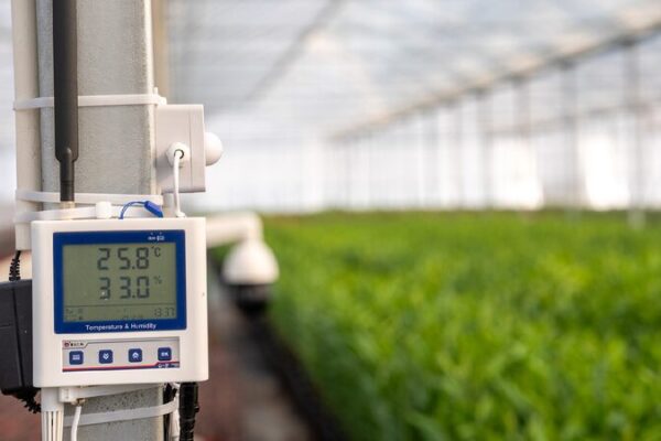 Modernized agriculture drives rural revitalization in China