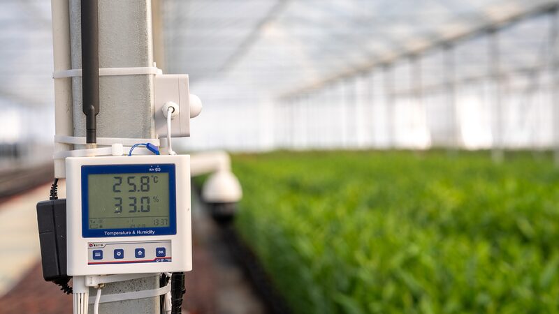 Modernized_agriculture_drives_rural_revitalization_in_China - My Global News: Young Voices Modernized agriculture drives rural revitalization in China