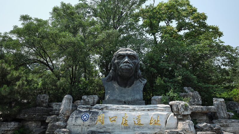 National_archaeological_site_park_being_built_in_Beijings_Zhoukoudian - My Global News: Young Voices National archaeological site park being built in Beijing's Zhoukoudian