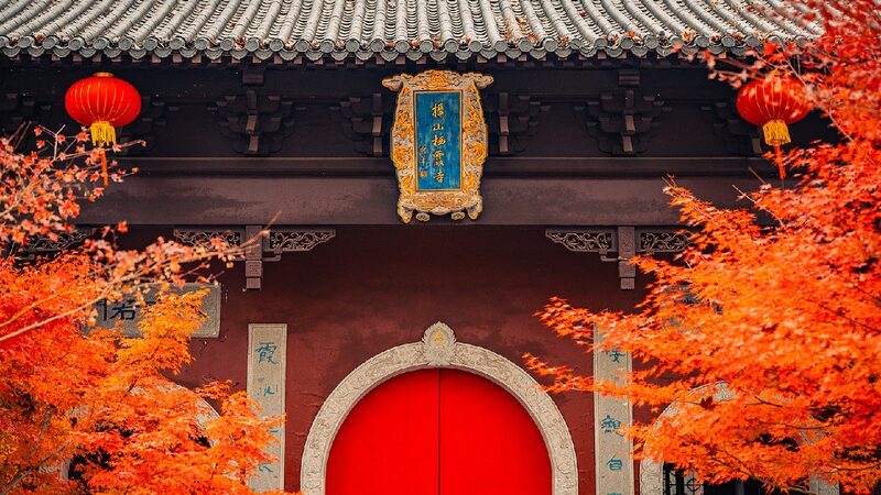 Qixia Mountain’s Fiery Red Leaves Dazzle Visitors in Nanjing Red leaves adorn historic Qixia Mountain in Nanjing