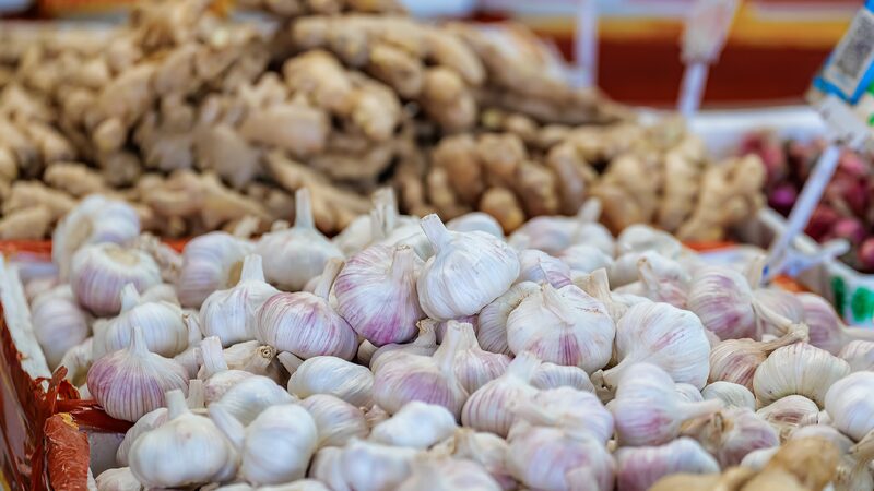 Spokesperson_Garlic_not_imagined_as_a_major_threat_to_the_US - My Global News: Young Voices Spokesperson: Garlic not imagined as a major threat to the U.S.