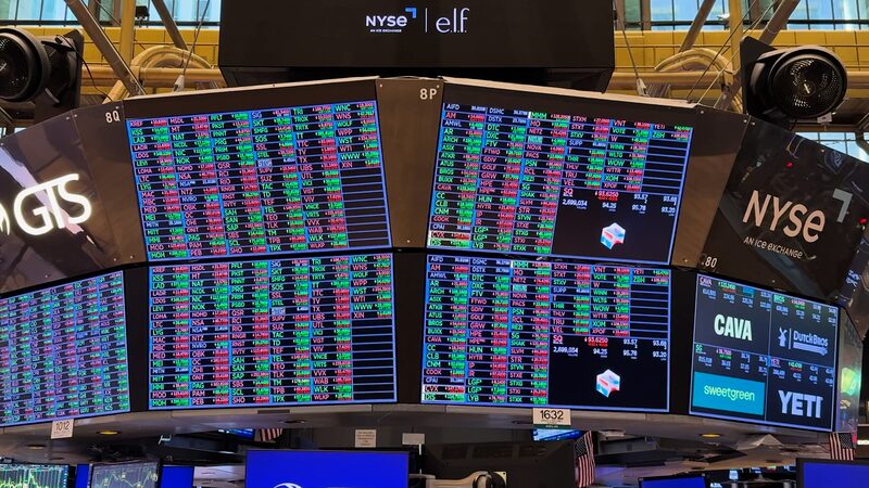 The_rollicking_stock_market_of_2024_poster - My Global News: Young Voices The rollicking stock market of 2024 video poster