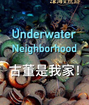 Underwater Neighborhoods: How Sunken Treasures Become Homes for Sea Creatures Underwater neighborhood video poster