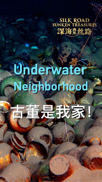 Underwater_neighborhood_poster - My Global News: Young Voices Underwater neighborhood video poster