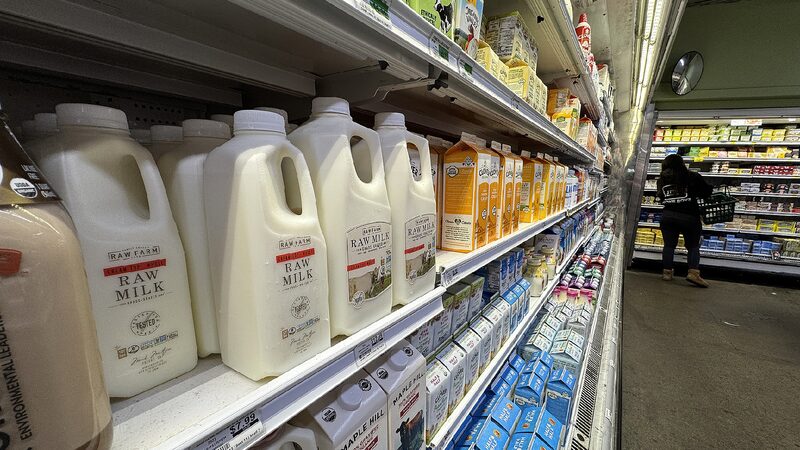 WHO_wants_bird_flu_surveillance_stepped_up-2 - My Global News: Young Voices WHO wants bird flu surveillance stepped up