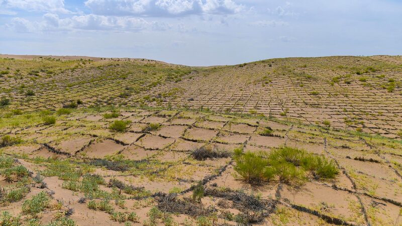 China Builds Giant Green Belt Around Taklimakan Desert π³ποΈ What's China's answer sheet to desertification?