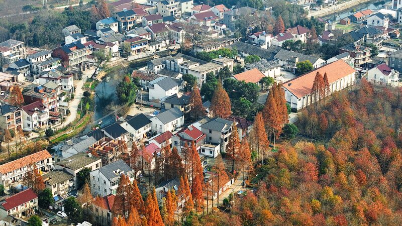 President Xi Wants to Boost Farming and Rural Life in China! Xi urges deepening rural reform, building up strength in agriculture