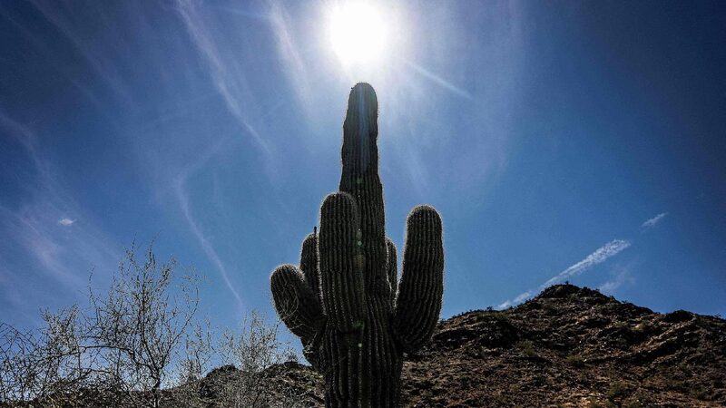 2024_confirmed_to_be_warmest_year_on_record_globally - My Global News: Young Voices 2024 confirmed to be warmest year on record globally