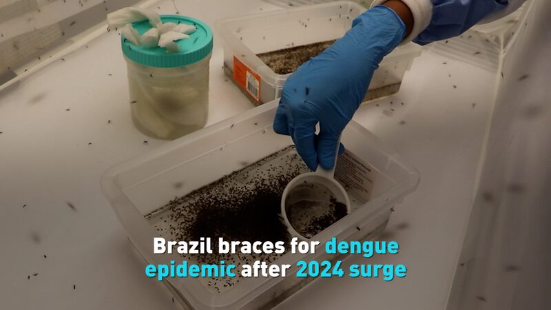 Brazil_braces_for_dengue_epidemic_after_2024_surge_poster - My Global News: Young Voices Brazil braces for dengue epidemic after 2024 surge video poster