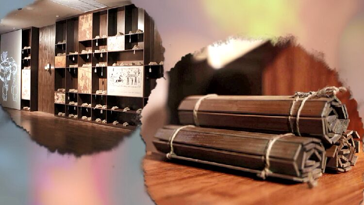 CGTN_The_Vibe_20250110 - My Global News: Young Voices CGTN The Vibe 20250110