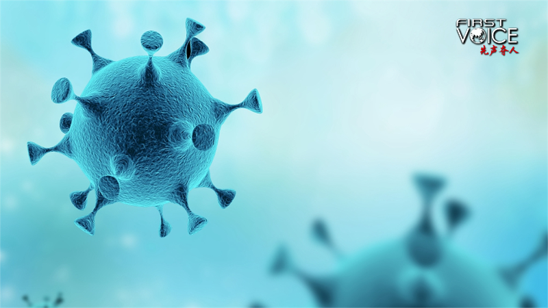 CIA's "Virus Report": A political farce, a scientific joke