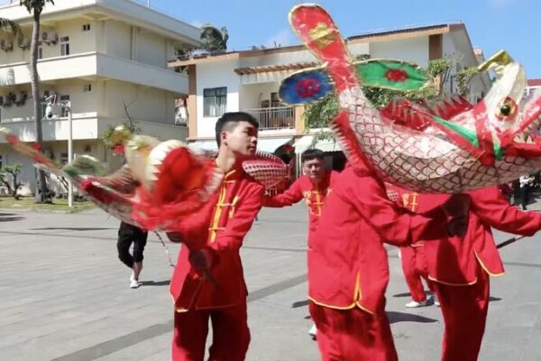 Colorful Carp Lanterns Light Up Sansha’s Streets for Chinese New Year! Carp lantern dance held in Sansha to usher in Spring Festival video poster