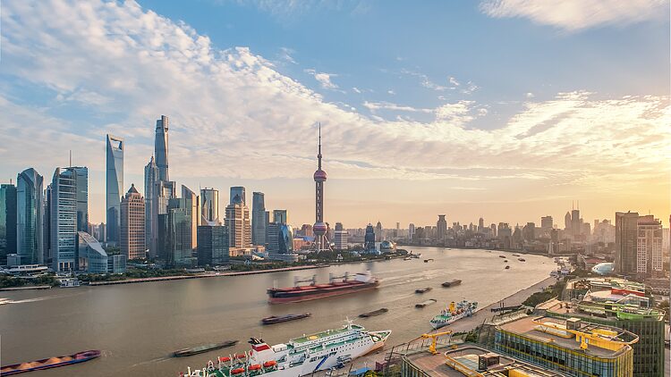 China reports steady growth in business entities in 2024