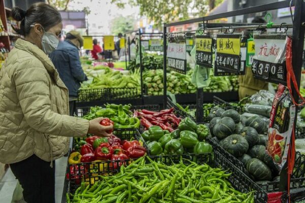 China’s Prices: Small Changes in December 2024 China's CPI up, PPI decline narrows in December 2024