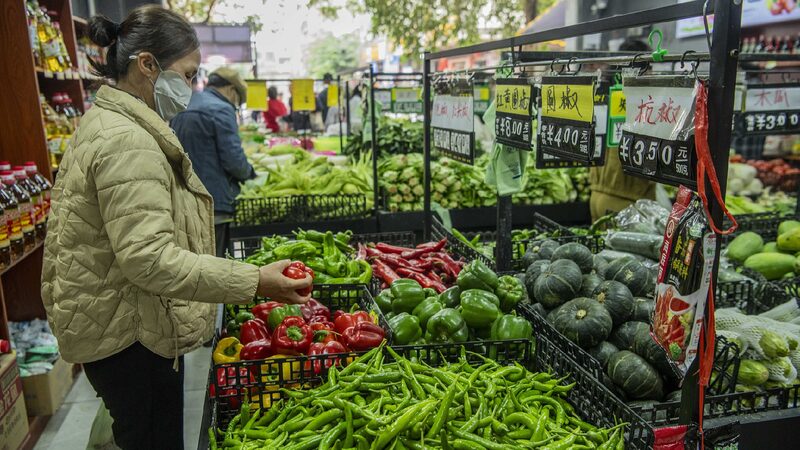 Chinas_CPI_up_PPI_decline_narrows_in_December_2024 - My Global News: Young Voices China's CPI up, PPI decline narrows in December 2024