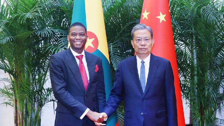 Chinas_top_legislator_meets_with_Grenadian_PM - My Global News: Young Voices China's top legislator meets with Grenadian PM