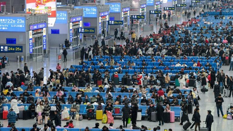 Chinese vice premier stresses safe, smooth Spring Festival travel