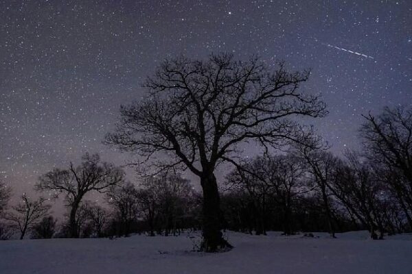 How to Watch the Quadrantids: The First Meteor Shower of 2025! π How to catch the Quadrantids, the first meteor shower of 2025