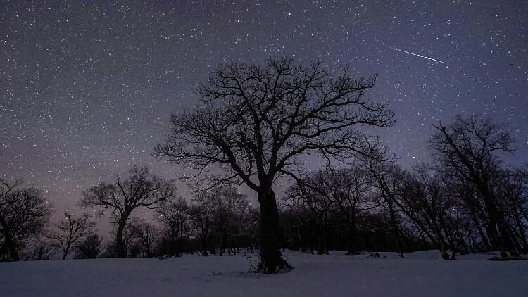 How_to_catch_the_Quadrantids_the_first_meteor_shower_of_2025 - My Global News: Young Voices How to catch the Quadrantids, the first meteor shower of 2025