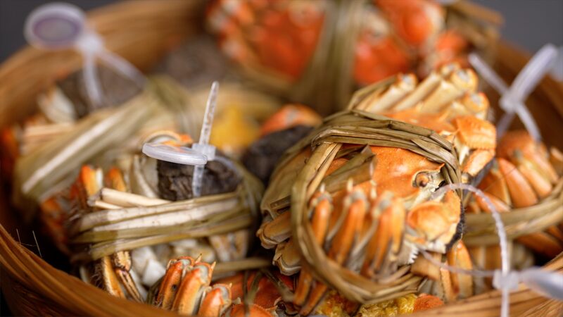 How_to_eat_hairy_crab_like_a_pro_poster - My Global News: Young Voices How to eat hairy crab like a pro video poster